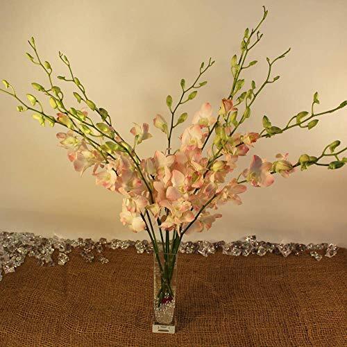 Fresh Light Peach Orchid Cuts From Nursery With An Assorted Vase And Rocks